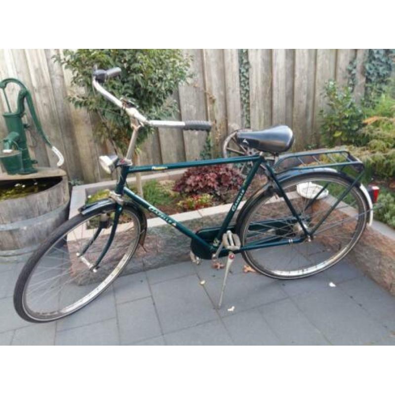 gazelle primeur 5v