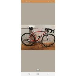 Ridley carbon