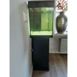 Compleet aquarium inclusief toebehoren