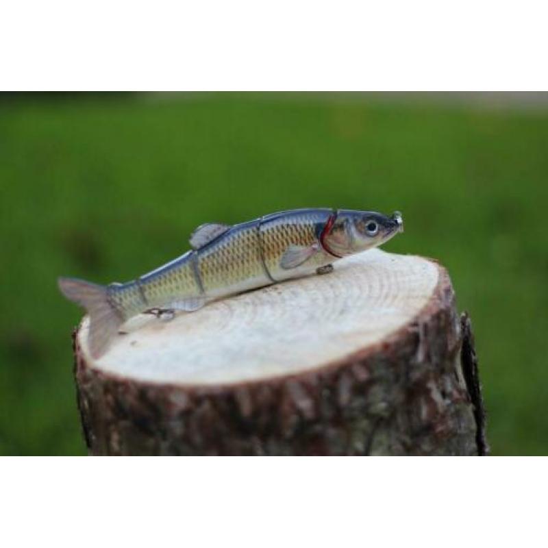 GRATIS kunstaas swimbait t.w.v. €5,95 bij besteding van €20