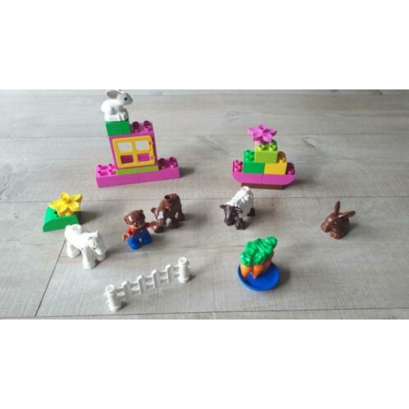 Duplo circus, trein en boerderijdieren
