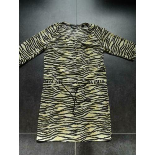 Maison scotch jurk maat 1 36 S geel zebra print