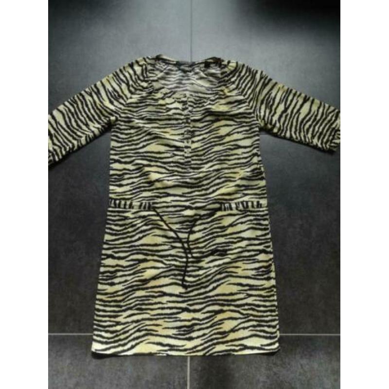Maison scotch jurk maat 1 36 S geel zebra print