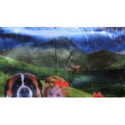 CAKEWALK jurkje met print mt. 98 en 110/116 , zgan