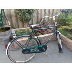 gazelle primeur 5v
