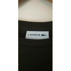 Lacoste heren shirt Maat L
