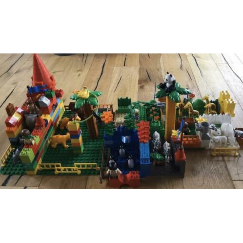 Duplo dierentuin