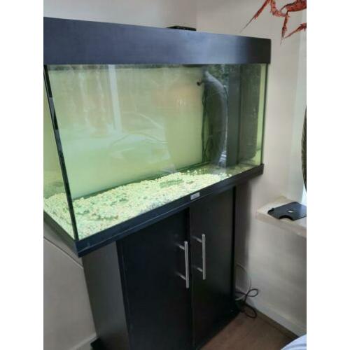 Compleet aquarium inclusief toebehoren