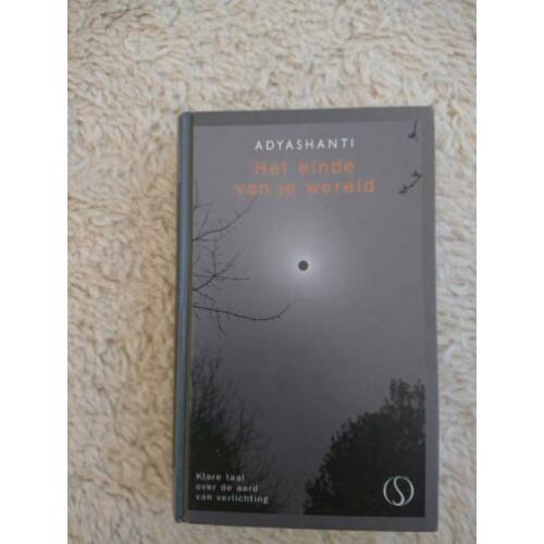 Adyashanti - Het einde van je wereld