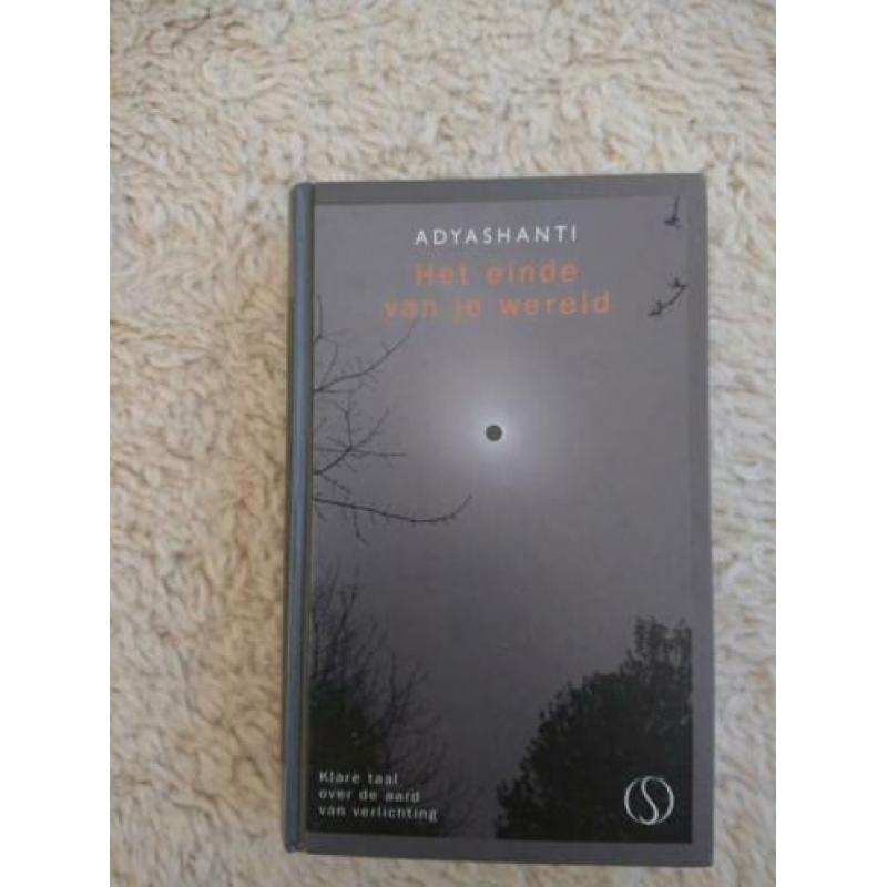 Adyashanti - Het einde van je wereld