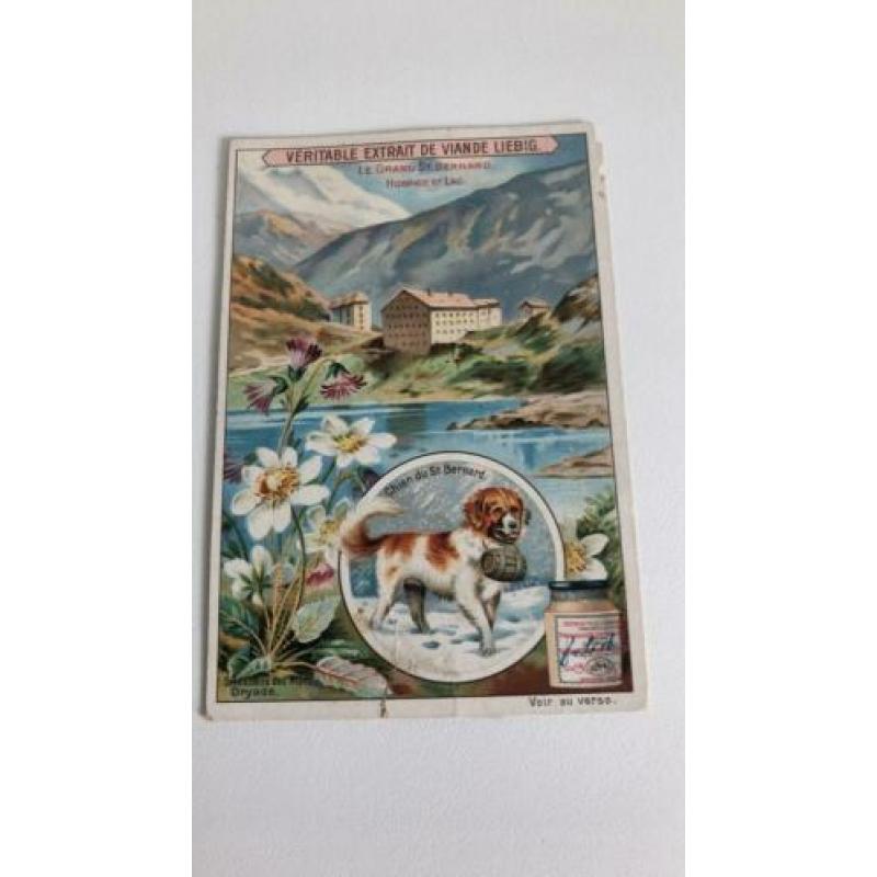 Liebig. Matterhorn, Jungfrau, le grand St. Bernard