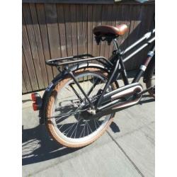 alpina cargo 20 inch