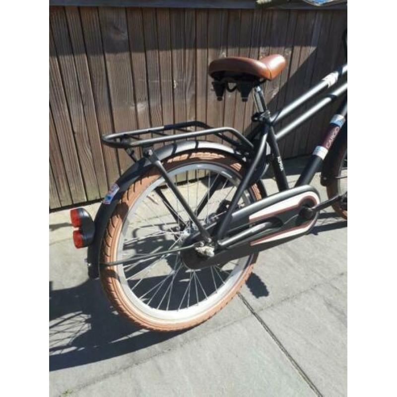 alpina cargo 20 inch
