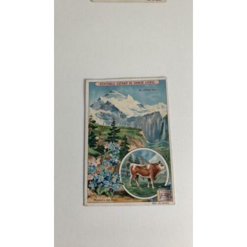 Liebig. Matterhorn, Jungfrau, le grand St. Bernard