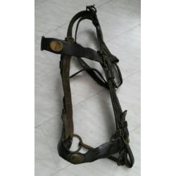 Antiek paardentuig met bit paard tuig