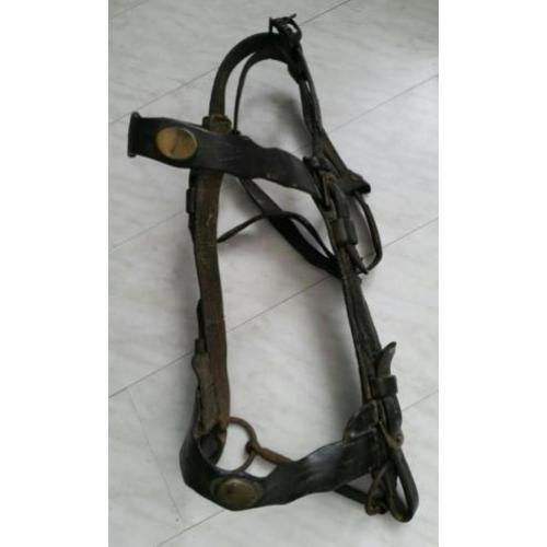 Antiek paardentuig met bit paard tuig