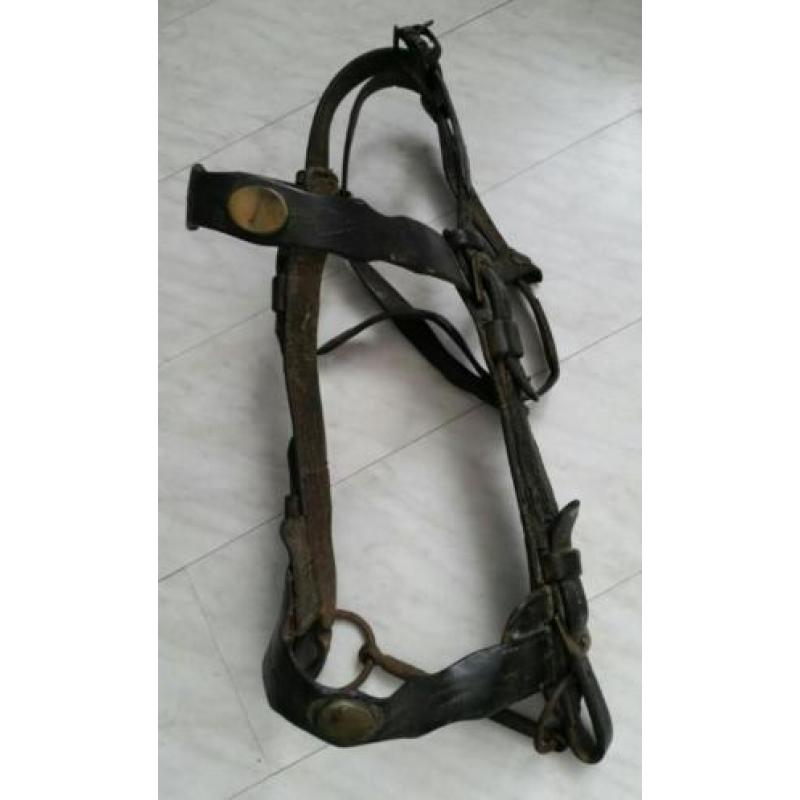 Antiek paardentuig met bit paard tuig