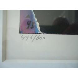 Zeefdruk Hakkaart 1995