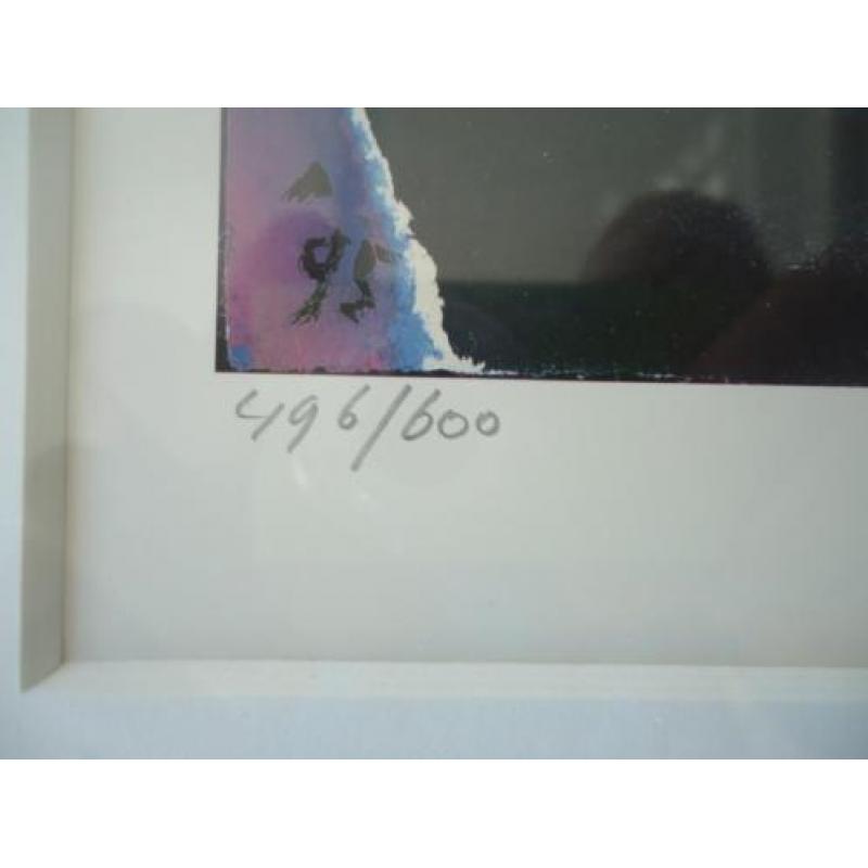 Zeefdruk Hakkaart 1995