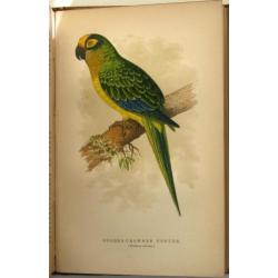 The Speaking Parrots [1884] Karl Russ Zeldzame bandtekening