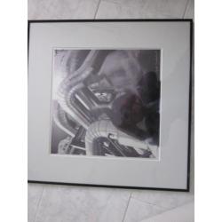 Geek Zwetsloot, fotoschilderij,110/600 / 350/600, gesigneerd