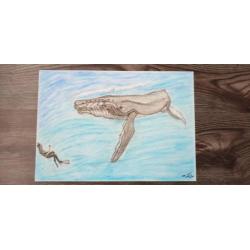 Tekening Bultrug en duiker.