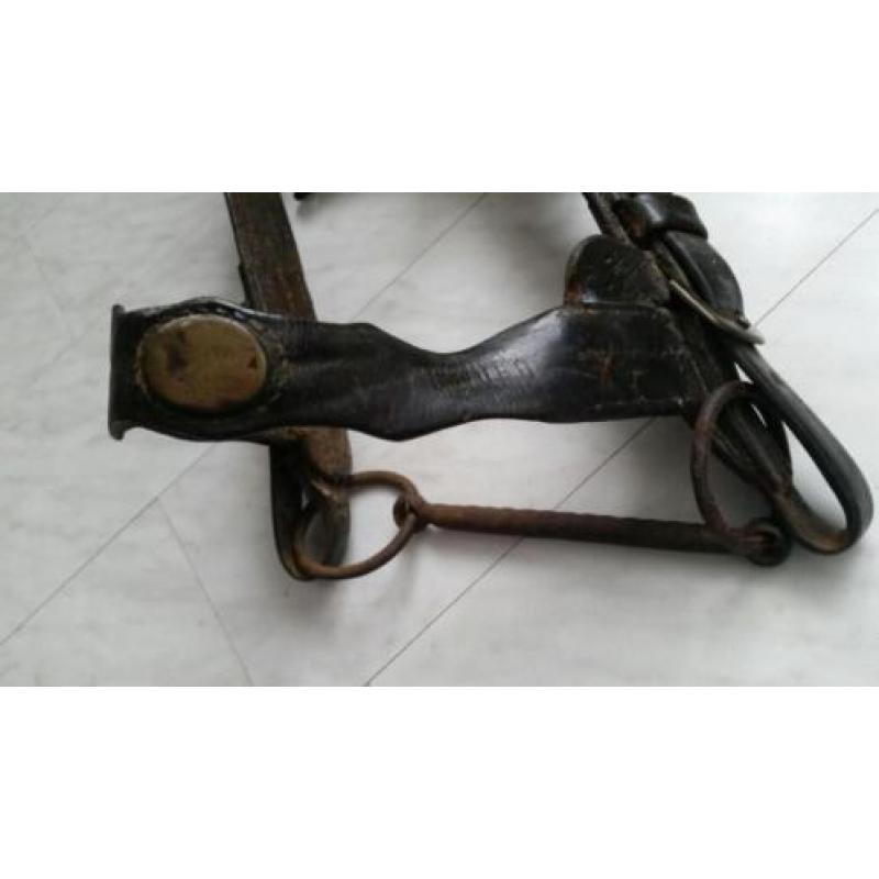 Antiek paardentuig met bit paard tuig