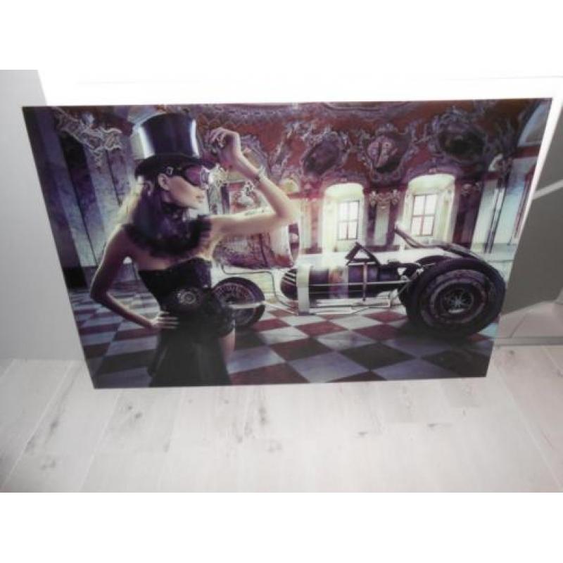 2 Grote schilderijen glasprint 80X120