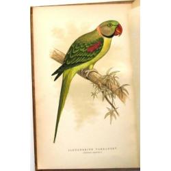 The Speaking Parrots [1884] Karl Russ Zeldzame bandtekening