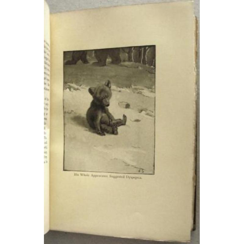 Lives of the Hunted 1904 Seton - Fraaie band en illustraties