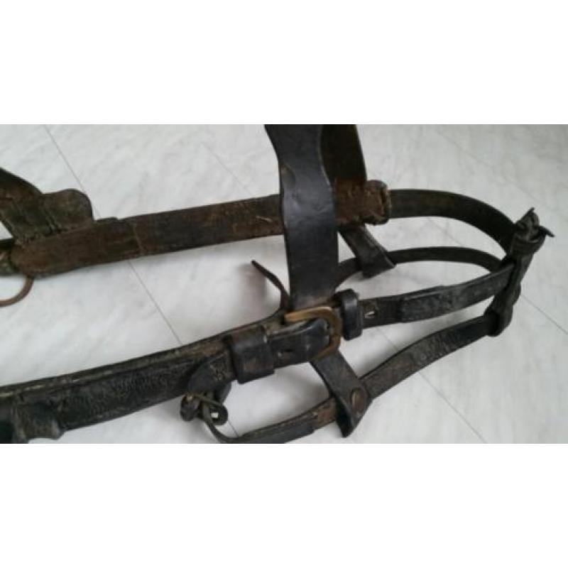 Antiek paardentuig met bit paard tuig