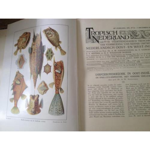 Tropisch Nederland tijdschrift 1930 1931 vele illustraties
