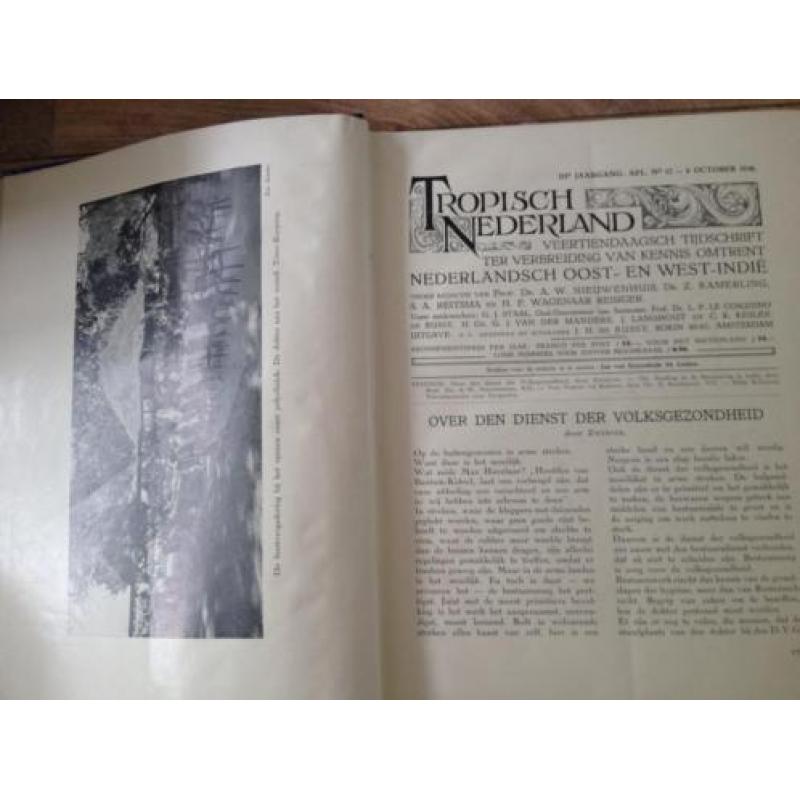 Tropisch Nederland tijdschrift 1930 1931 vele illustraties