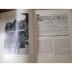 Tropisch Nederland tijdschrift 1930 1931 vele illustraties
