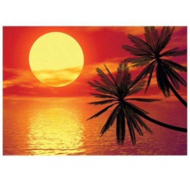 aanbieding Fotobehang 400x280cm Romantische voor €40