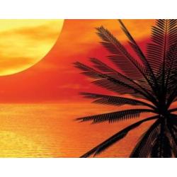 aanbieding Fotobehang 400x280cm Romantische voor €40