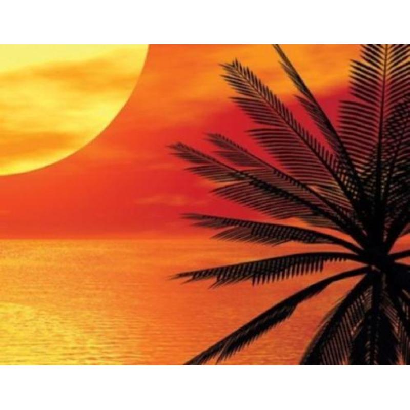 aanbieding Fotobehang 400x280cm Romantische voor €40
