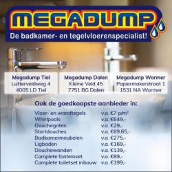 Chap Wastafelmengkraan Met Draaibare Uitloop 004