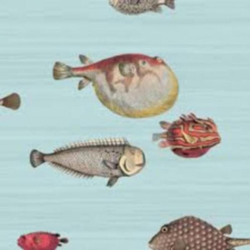 MOST EXCITING WALLPAPERS COLE and SON ,ENGELS BEHANG