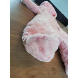 Baby pakje maat 50